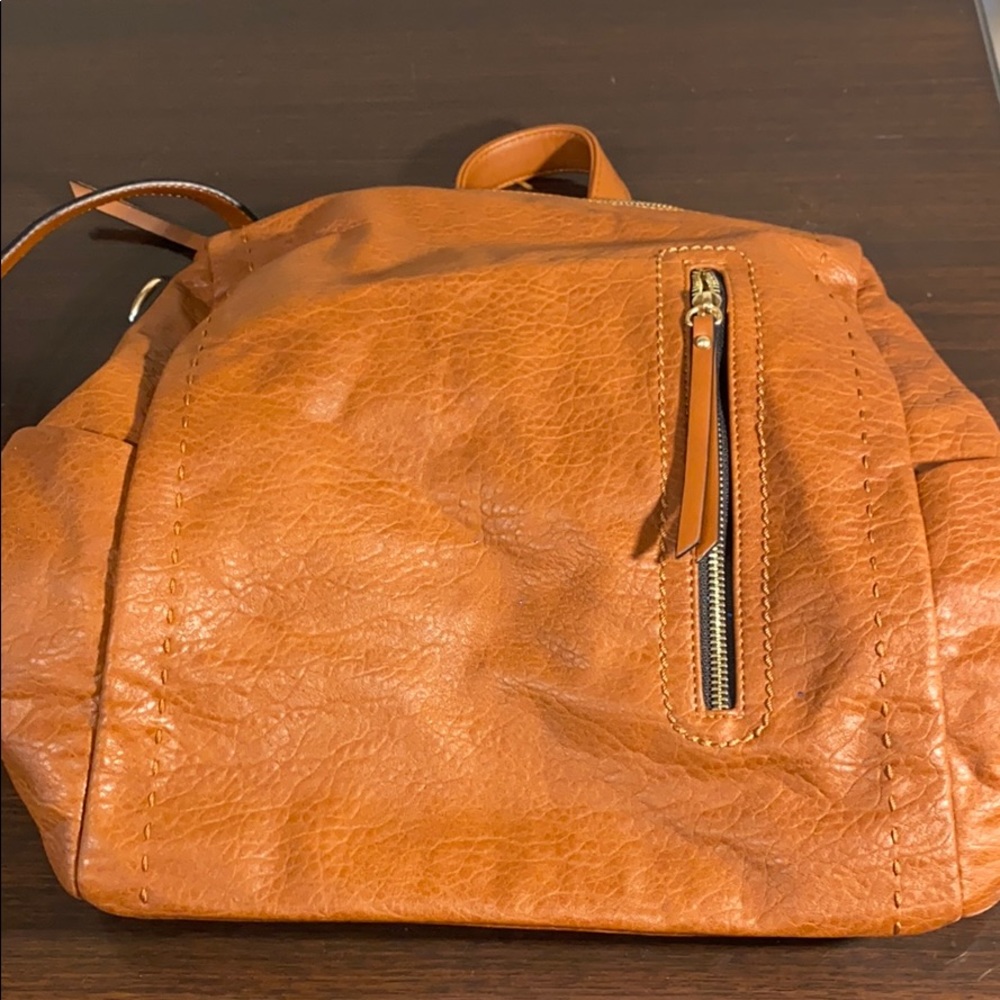 Back pack purse